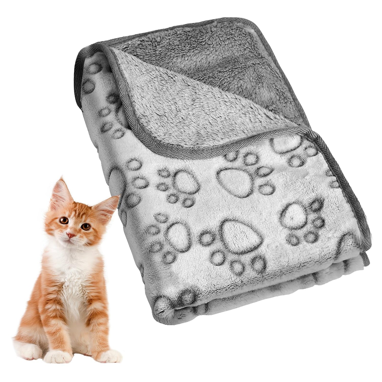 Cat Blankets