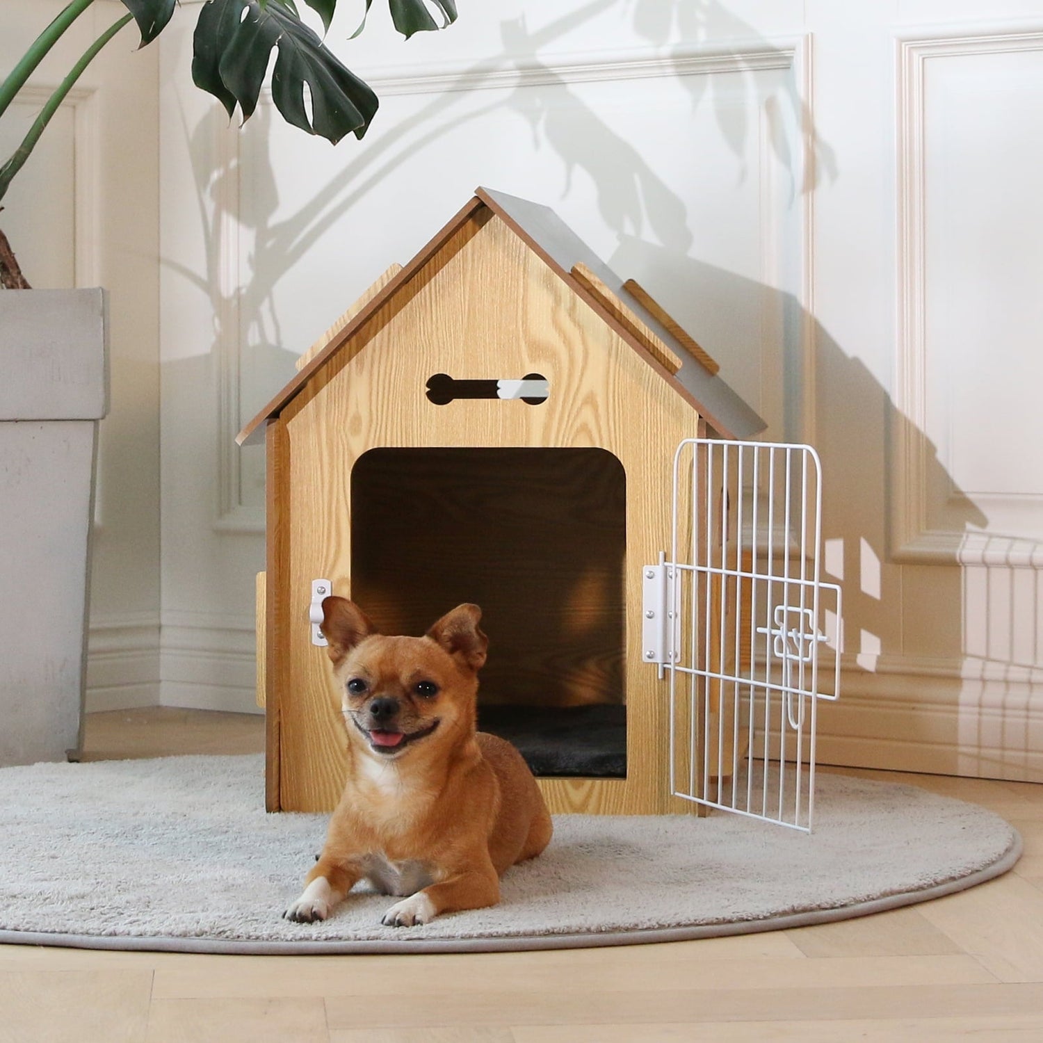 Dog Homes